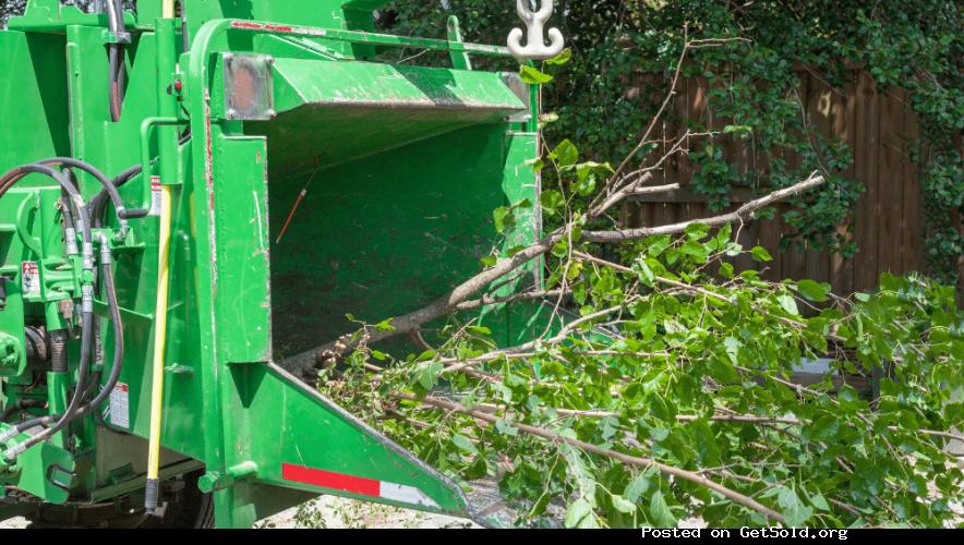 Tree Service West Chester