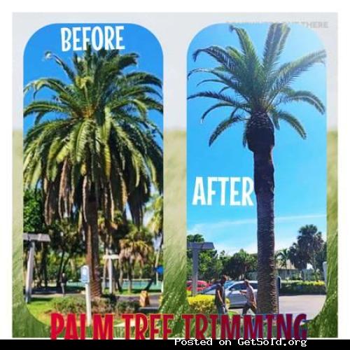 LICENSED &amp; INSURED FULL-SERVICE TREE COMPANY- FREE ESTIMATES