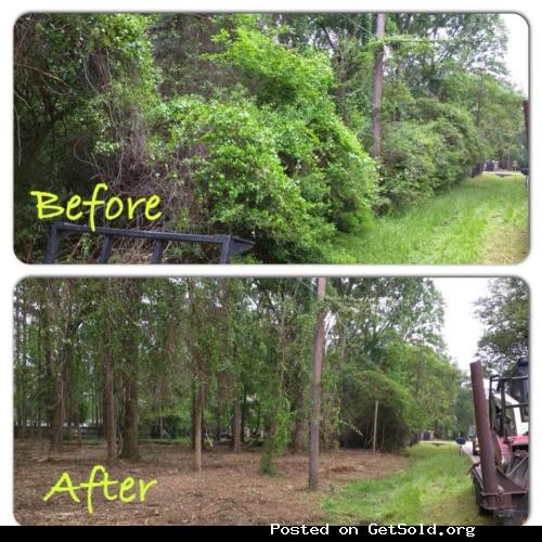 LICENSED &amp; INSURED FULL-SERVICE TREE COMPANY- FREE ESTIMATES