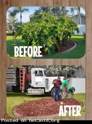 Residential &amp; Commercial Tree Removal-Land Clearing-Forestry Mulching