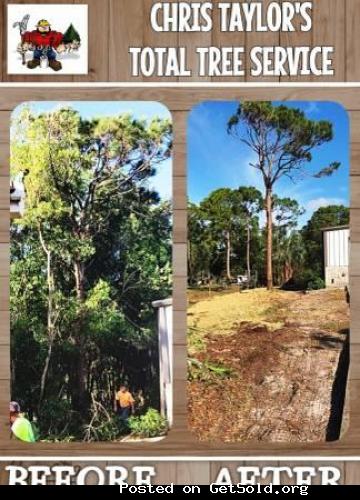 LICENSED &amp; INSURED FULL-SERVICE TREE COMPANY- FREE ESTIMATES