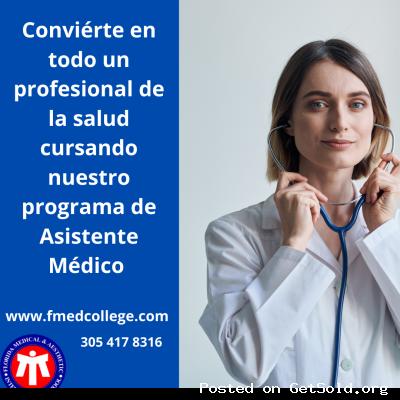 Asistente M&eacute;dico