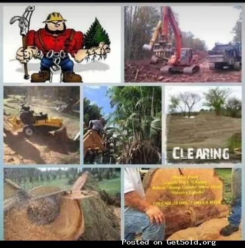 Tree services, grapple loads, free estimates, dumpster service