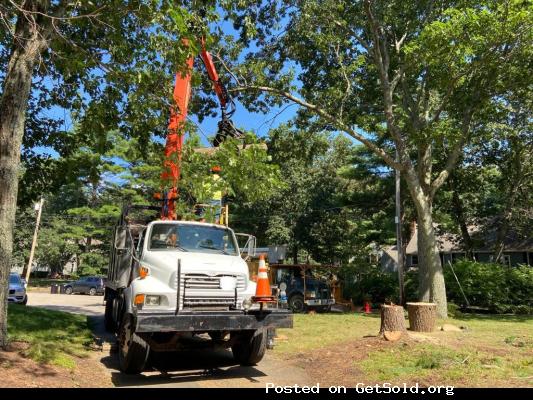 Velasquez Tree Service