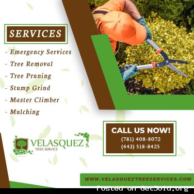 Velasquez Tree Service