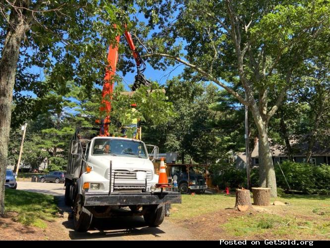 Velasquez Tree Service