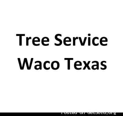 Tree Service Waco Texas