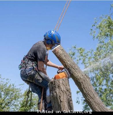 Tree Service Waco Texas