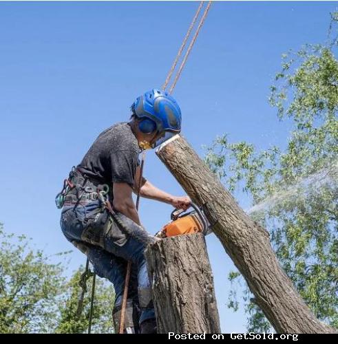 Tree Service Waco Texas